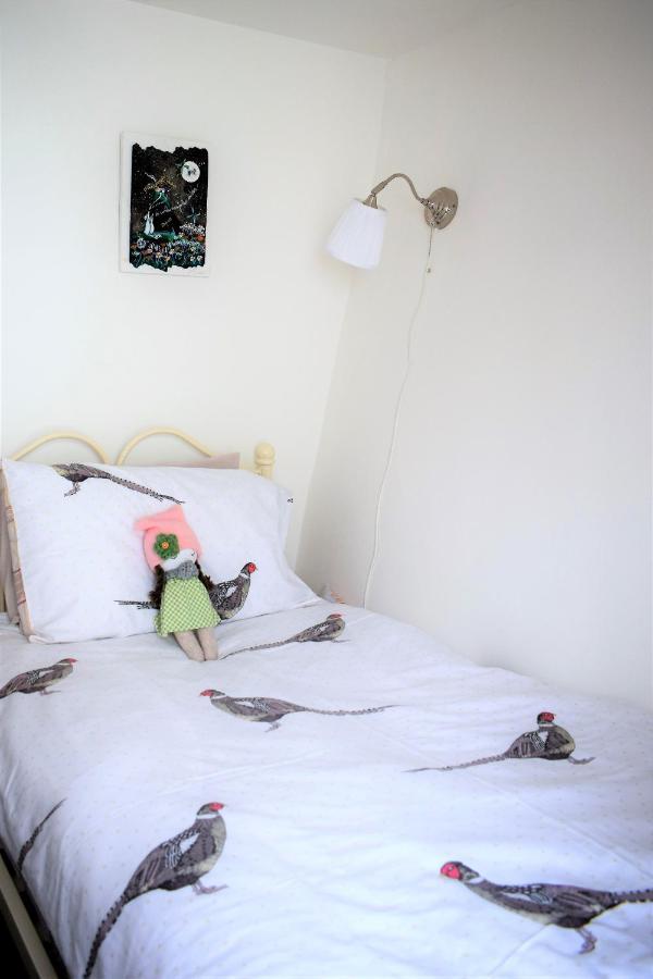 Higher Primrose Cottage Winkleigh 外观 照片